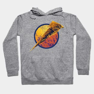 Abstract Eagle Hoodie